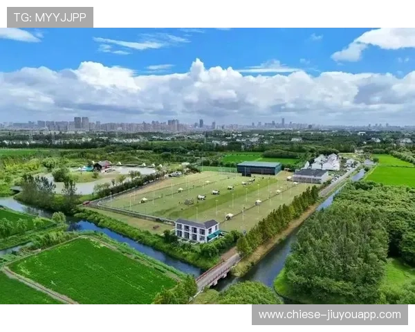 2026年网球草地季报名数据分析：参赛结构变化，网球草地赛事